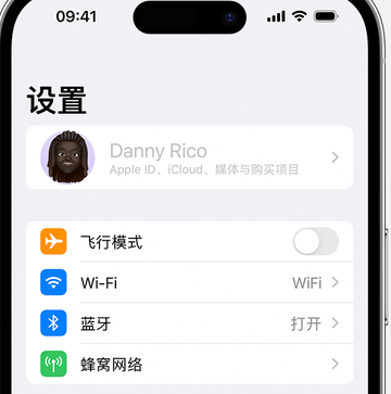 商南appleID维修服务iPhone设置中Apple ID显示为灰色无法使用 