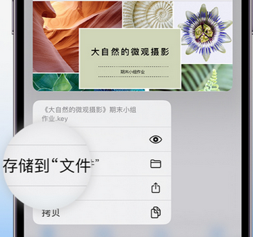 商南apple维修中心分享iPhone文件应用中存储和找到下载文件