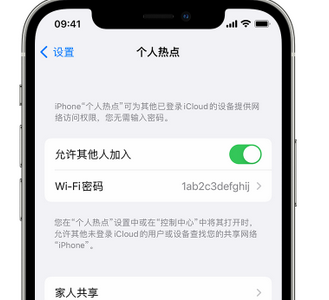 商南apple服务站点分享iPhone上个人热点丢失了怎么办 