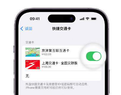 商南apple维修点分享iPhone上更换Apple Pay快捷交通卡手绘卡面 