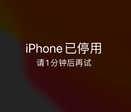 商南苹果手机维修分享:iPhone 显示“不可用”或“已停用”怎么办？还能保留数据吗？ 