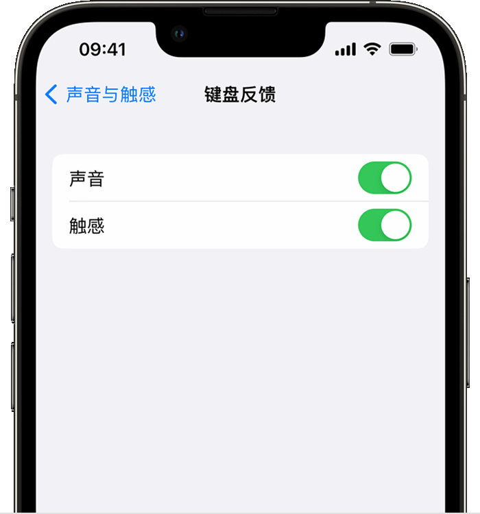 商南苹果14维修店分享如何在 iPhone 14 机型中使用触感键盘 