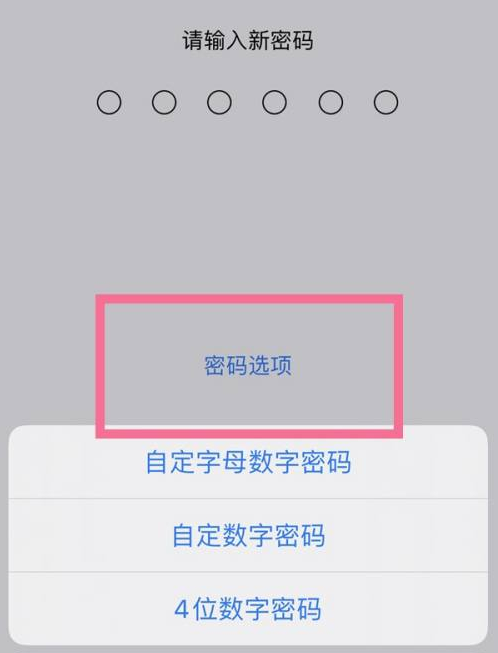 商南苹果14维修分享iPhone 14plus设置密码的方法 