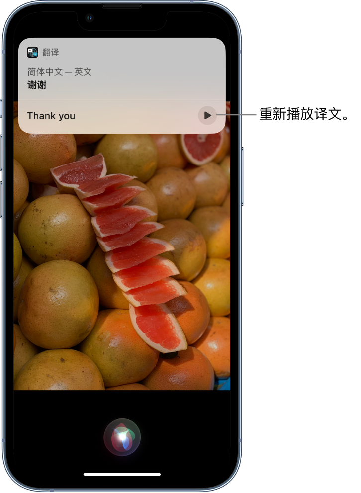 商南苹果14维修分享 iPhone 14 机型中使用 Siri：了解 Siri 能帮你做什么 