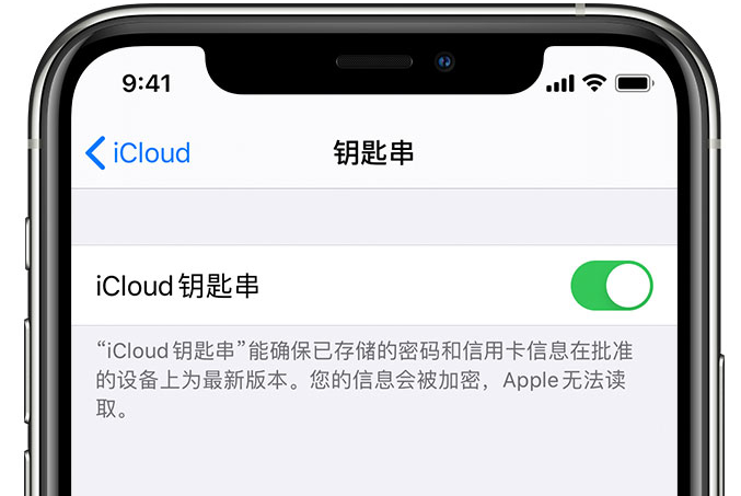 商南苹果手机维修分享在 iPhone 上开启 iCloud 钥匙串之后会储存哪些信息 